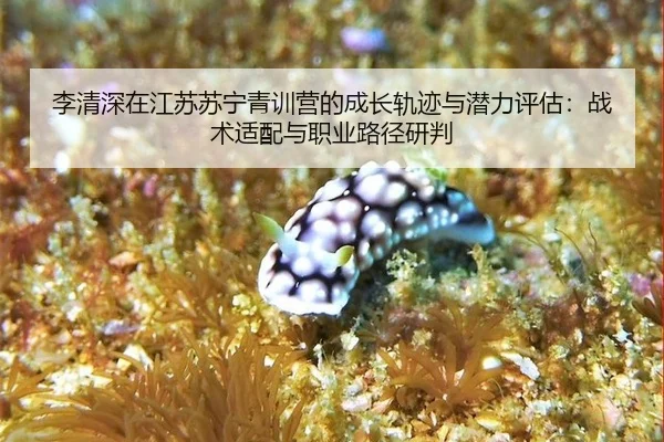 li-qing-shen-zai-jiang-su-su-ning-qing-xun-ying-de-cheng-zhang-gui-ji-yu-qian-li-ping-gu-zhan-shu-shi-pei-yu-zhi-ye-lu-2-835.jpg