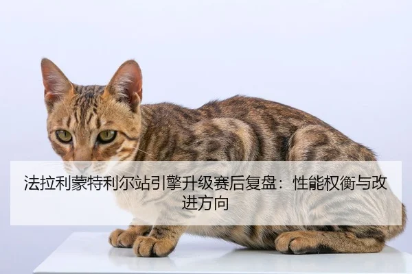 fa-la-li-meng-te-li-er-zhan-yin-qing-sheng-ji-sai-hou-fu-pan-xing-neng-quan-heng-yu-gai-jin-fang-xiang-2-316.jpg